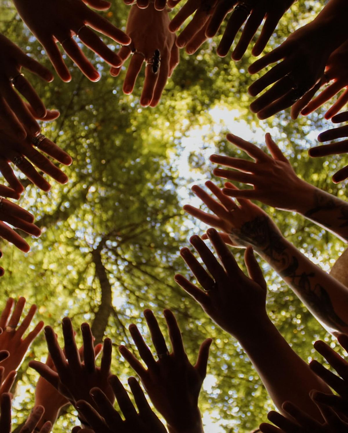 Nutrition planning layout cards